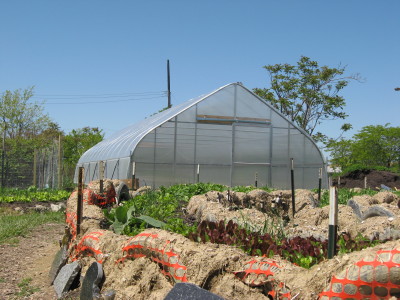 hoophouse-1_1